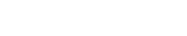 Netsat Global 1 logo netsat global branca
